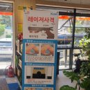 총알도 종이도 없이 이렇게 재밌다고?! 에듀건 스타디움 레이저사격 &amp; 스포츠 박스볼 솔직 후기