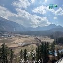 농업기술센터(통신팀설치)2 | 📰 26년 3월 4주차 '주간 울릉통신' 제70호 발행