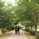 송산공원 화장실 이미지