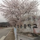 영춘중학교 이미지