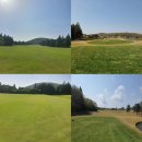 타미우스골프연습장 이미지