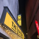 로터리길 | 뉴욕 라이온킹 로터리 관람 후기(오케스트라 Zz석뷰)