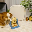 공중화장실(3단계 소공원) | 반려동물 안전설계 필립스 퓨어 프로텍트 펫 공기청정기 AC3360/11