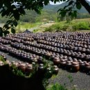 한우와 된장 이미지