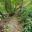 춘천마당발펜션 이미지