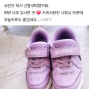 슈턴즈 이미지