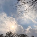 한스델리홍천점 이미지