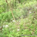 용진산마애여래좌상 이미지