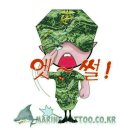 엔돌핀 Daum카페