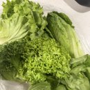 정진농장 이미지