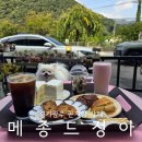 정아애견 이미지