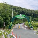 청도자연휴양림 야영데크 10, 12번(부제 : 캠핑은 처음이라)