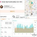 창성개발 클라우드나인호텔 | 걸어서 서울여행_창경궁 산책(창경궁~세운상가~충무로)_11부