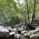 지리산미네 이미지