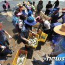 그물과물고기 이미지