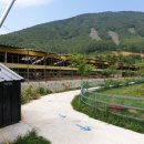 드림한우농장 이미지