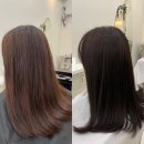 하월헤어성정두정점 | [천안두정동] 천안 하월헤어, 본식 앞두고 톤다운 염색 솔직후기