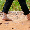 맨발걷기 효능 효과 10가지 부작용 권장 시간 이미지