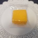 모녀포목