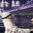 부산요트타자