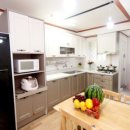 외도펠리스 이미지