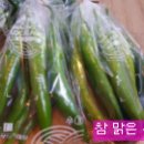 참맑은우리농원