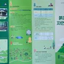 붉은오름자연휴양림1 네이버블로그