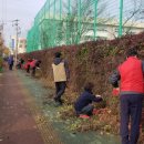 진주초교 이미지