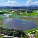 평동1로 이미지