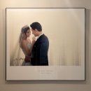 갤러리광고 | W.3 울산 웨딩박람회 웨딩갤러리 다녀온 후기, 광고X