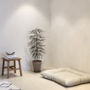 스테이 도랑 이미지