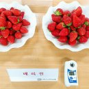 메리퀸 - 순천시 연향3로 6 | 메리퀸