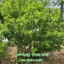 도둔리마을회관 이미지