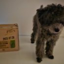 냠냠펫푸드 이미지