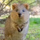 킹스유도클럽 2호점 | 라이브 클럽 데이 EXTENDED 후기 : 아디오스 오디오, 데디오레디오, 브로큰 발렌타인 무료로 보기