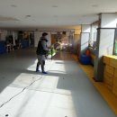 K타이거즈 리더댄태권도장 이미지