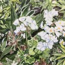 화가의정원 이미지