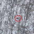 안내면행정복지센터 이미지