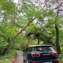 예술인마을 펜션 이미지