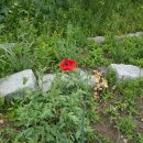 갯벌농장 이미지