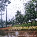 박가네 메밀막국수 이미지