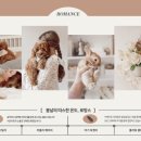 일상디자인 이미지