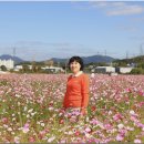 탄금공원 이미지