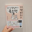 무지개 문화사 | 우리집댕냥이가죽으면어떡하지 반려동물도서 책후기