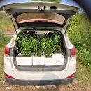 하이그린 농장 이미지