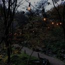 보영가든 이미지