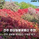 완산-26 | 전주 완산칠봉꽃동산 겹벚꽃 아직 볼만할까? 최신 방문 후기 (주차정보)