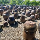 도진리마을회관 이미지