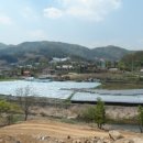 수원-이의-이의-07 이미지