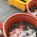 모란다목적공영주차장 | 성남 모란시장 장날 주차 돼지부속 경기도 놀러 갈만한곳 전국오일장